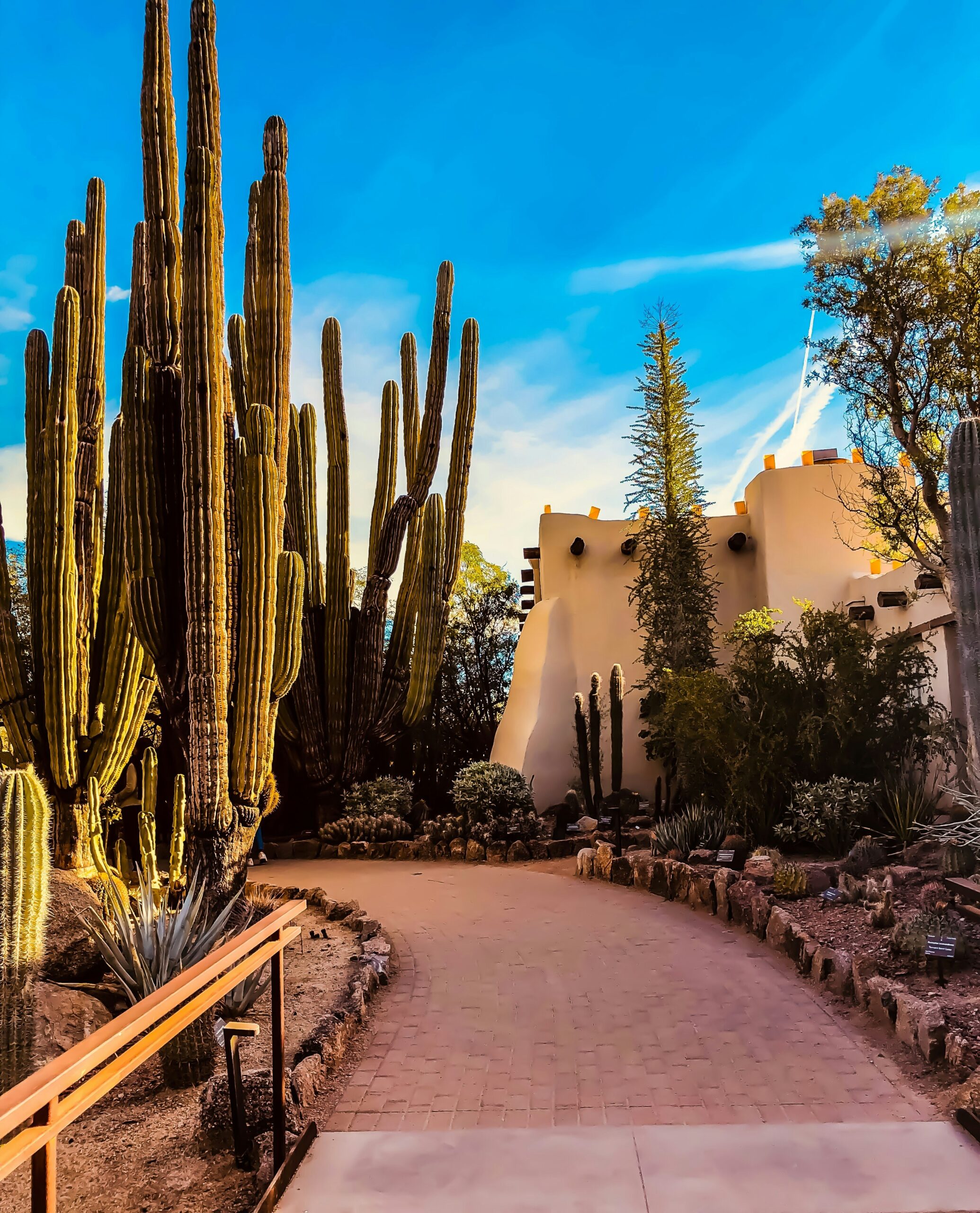 phoenix az