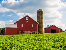 Image for choice number 3