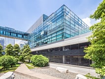 Image for choice number 2