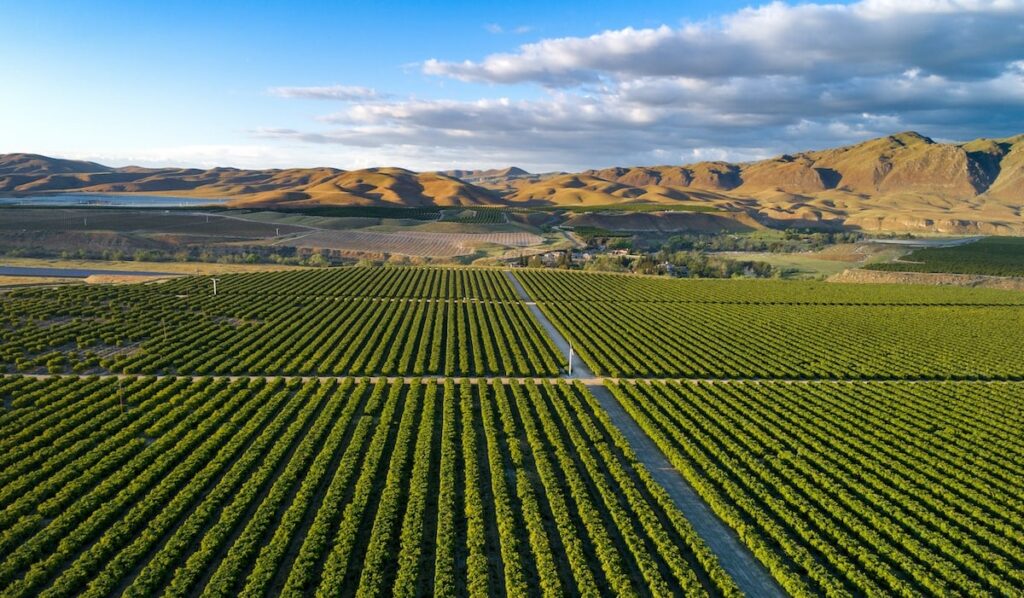 bakersfield agriculture