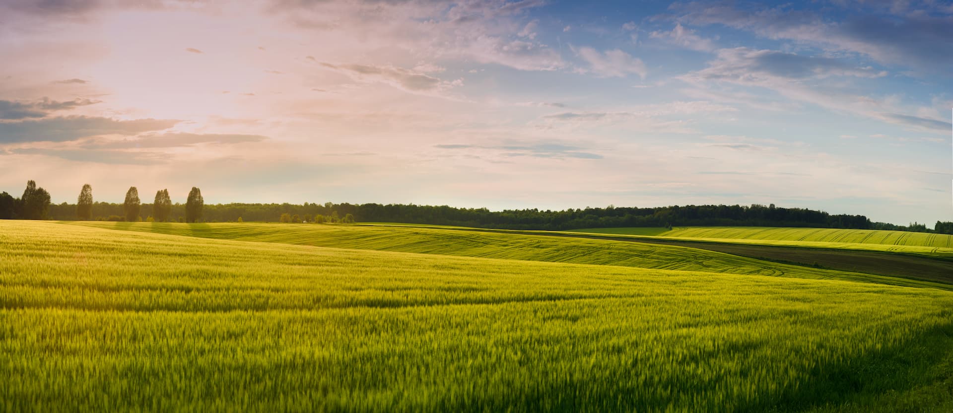 Farmland (Landscape) (Landing Page) (2) (1)